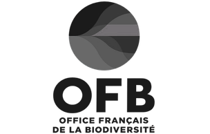 Guides de montagne